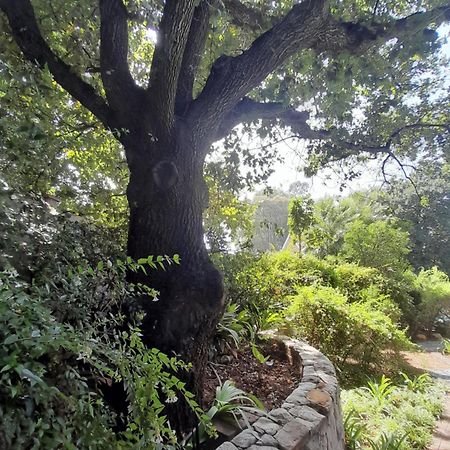 Sugarbush Accommodation Vereeniging Buitenkant foto